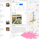 사랑채 닭국수명가 | 이수역한식뷔페 이수맛집 사랑채 한식부페 무한리필 9천원 아침식사가능