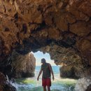 스테이사룡 이미지