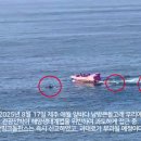 돌고래들을 너무 가까이 따라간 관광선박의 최후 이미지