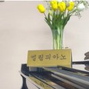 엘림피아노교습소 네이버블로그