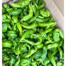 해성중국식품 이미지