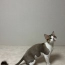 예뻐지냥 이미지