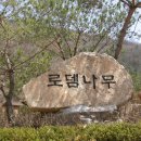 로뎀나무아래서