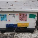 효선농장 이미지