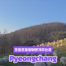 포동목장 이미지