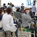 본 동물 건강검진영상센터 이미지