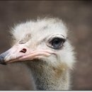 유구농장 이미지