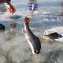 우목농원 이미지