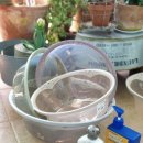 대야2로 이미지