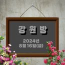 강원방 출글 ■ 2024.08.16(금) 이미지