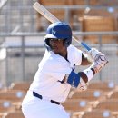 다저스호프 이미지