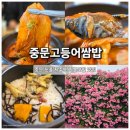 향기정원 별관 | 제주도 맛집 아침식사 추천, 중문고등어쌈밥 묵은지고등어쌈밥과 장미정원 후기