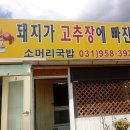 돼지가고추장에빠진집 이미지