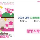 2024 경주 대릉원돌담길 벚꽃축제 이미지