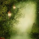 국제기혈도아카데미 | 전생 최면 체험 후기 - 환갑에본 전생은 일장춘몽[一場春夢],호접지몽[胡蝶之夢]