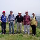 날으는탕수육 이미지