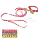 도기프렌즈 이미지