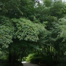 양천향교 이미지