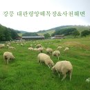 선택목장 이미지