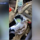 해명주유소 이미지