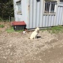 제이앤티(JNT) 이미지