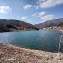 정옥민 박사 테라 면역 센터 이미지