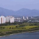 함안 대송리 늪지식물 이미지