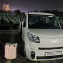 애월 다움 | [제주도] 제주공항 근처 가성비 숙소 추천-애월 통나무파크 펜션(feat.도치돌 알파카 목장)