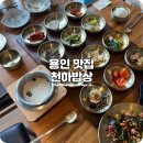 천하 | 처인구 한정식 푸짐한 15첩 한식 추천하는 밥상천하 용인직영점 후기