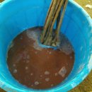 우림농원 이미지