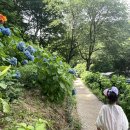 유정1955 | 기장 수국 카페 유정1955, 아이랑 함께 힐링하기 좋은 대형카페 후기