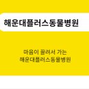 조인트 동물병원 이미지