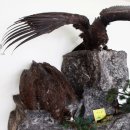 조류탐사과학관 이미지