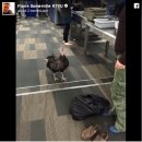 종석농장 이미지