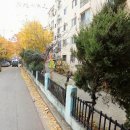 오정로252번길 이미지