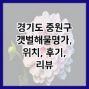 해물명가 | 경기도 중원구 갯벌해물명가, 위치, 후기, 리뷰