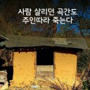 사람곡간 이미지