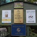 티렌트카 이미지