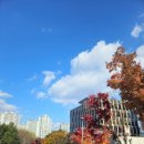 혁신제일약국 이미지