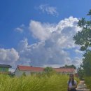 슬로메이 이미지