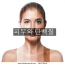 <7월 19일 > 단백질과 세라마이드 이미지