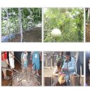 그린토피아 이미지