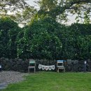 스테이552 | 제주동쪽 조천읍 가족독채숙소 스테이552