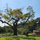 비암사 | 세종여행, 천년고찰비암사,세종가볼만한곳