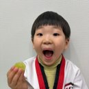 부곡 우리아이 태권도 네이버블로그