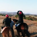 뷰 제주하늘 이미지