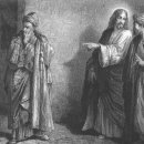 오늘복음(루카18,9~14) 바리사이와 세리의 비유 이미지
