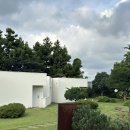 센텀큐브우측도로L | 제주 동쪽 감성 숙소 &#39;비안(B.ahn)&#39; l 조천읍 독채 인생 숙소 추천