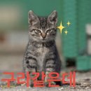 구라 - 순천시 | 구라