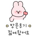 쏘이살롱